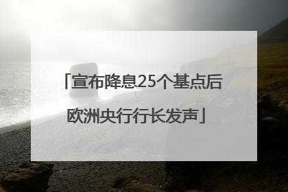 宣布降息25个基点后 欧洲央行行长发声